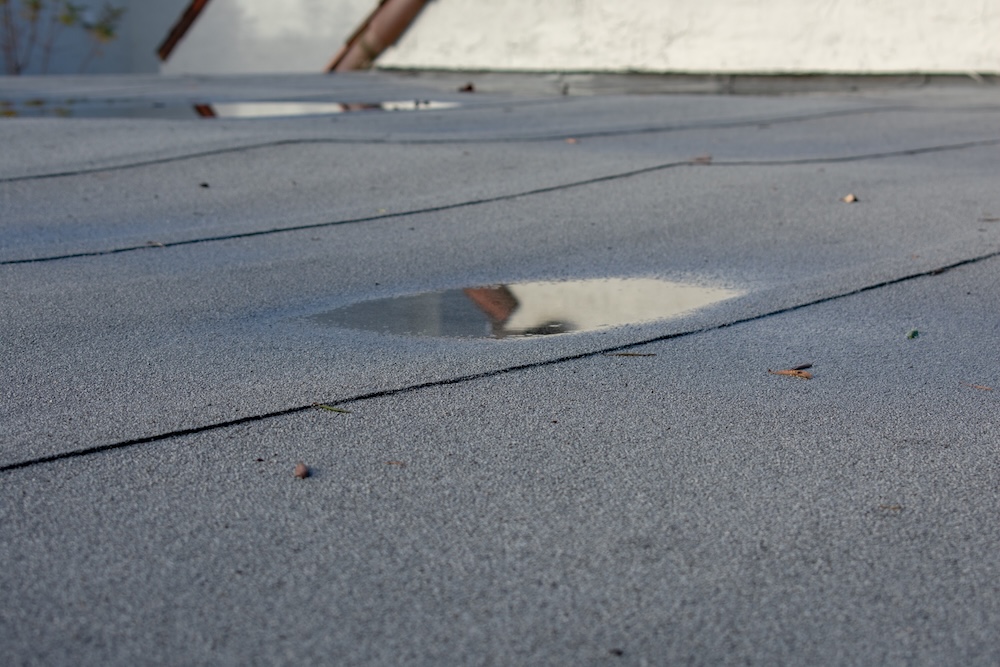 When Flat Roof Drains Can’t Keep Up: Preventing Commercial Water Damage After DC-Area Storms
